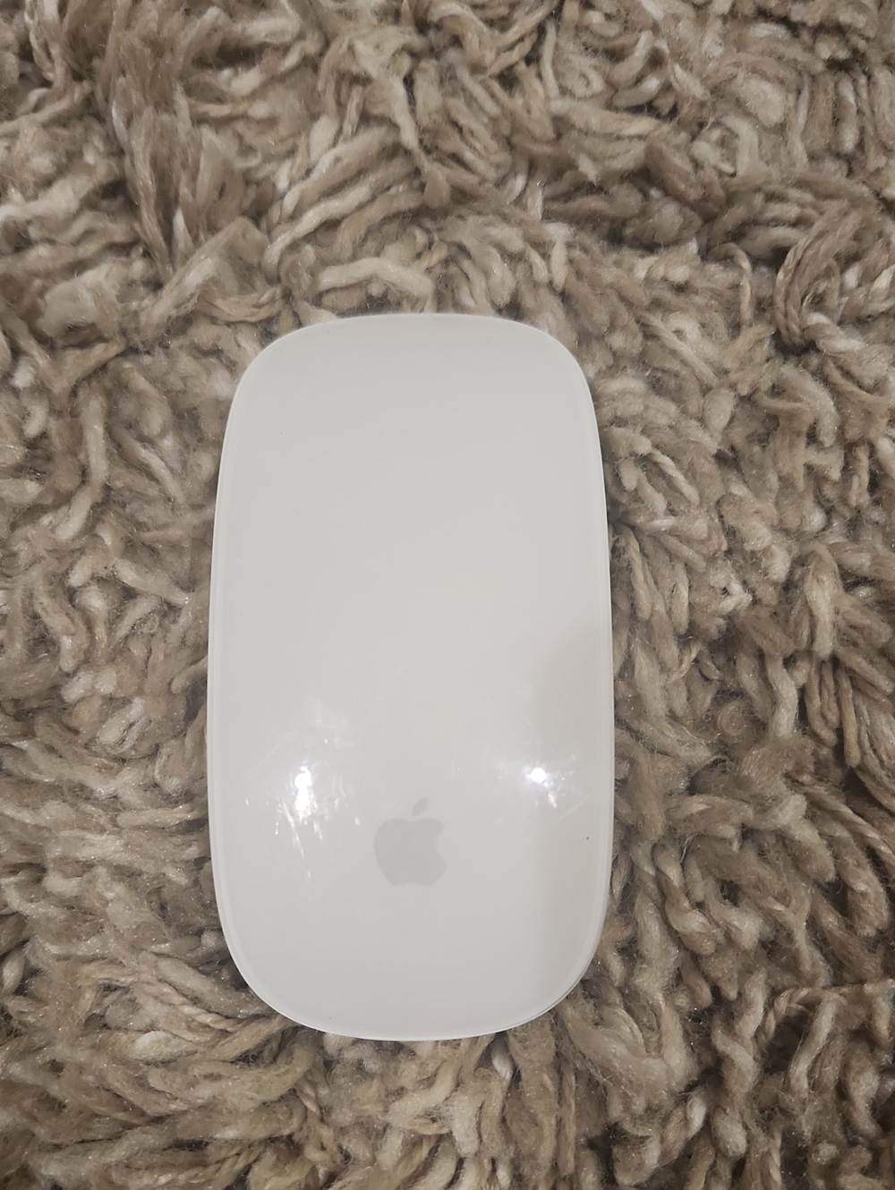 Apple White Wireless Magic Mouse - Glossy Multi-Touch Mouse